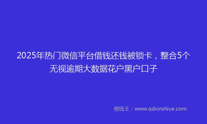 2025年热门微信平台借钱还钱被锁卡，整合5个无视逾期大数据花户黑户口子