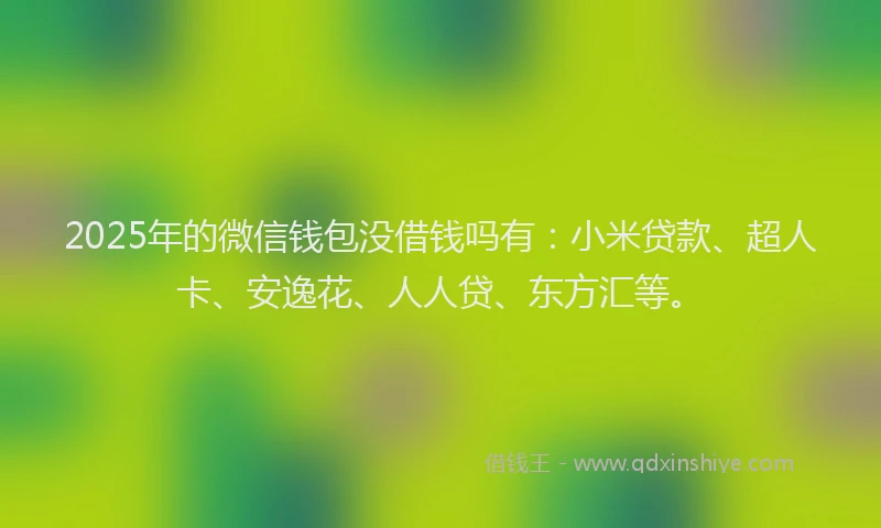 2025年的微信钱包没借钱吗有：小米贷款、超人卡、安逸花、人人贷、东方汇等。
