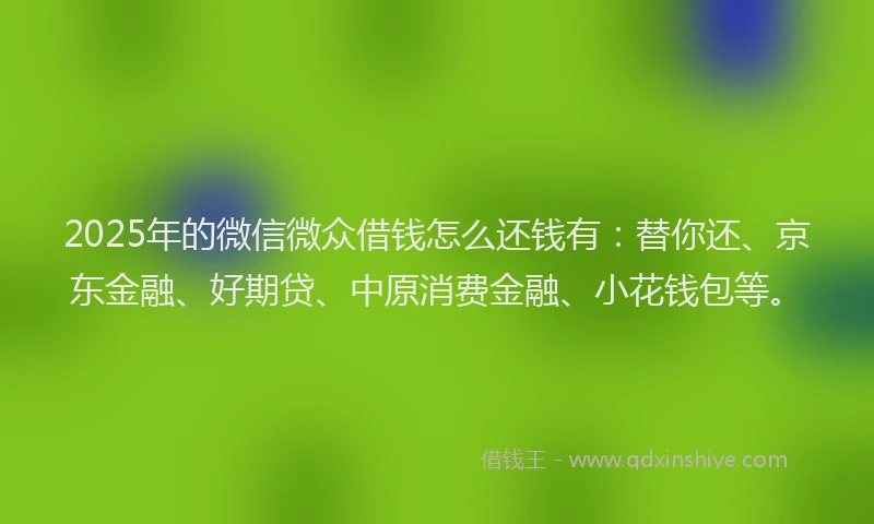 2025年的微信微众借钱怎么还钱有：替你还、京东金融、好期贷、中原消费金融、小花钱包等。