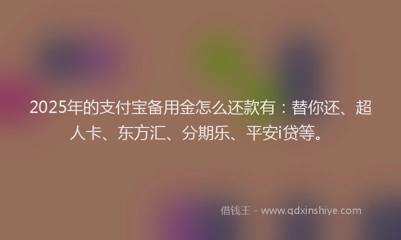 2025年的支付宝备用金怎么还款有：替你还、超人卡、东方汇、分期乐、平安i贷等。