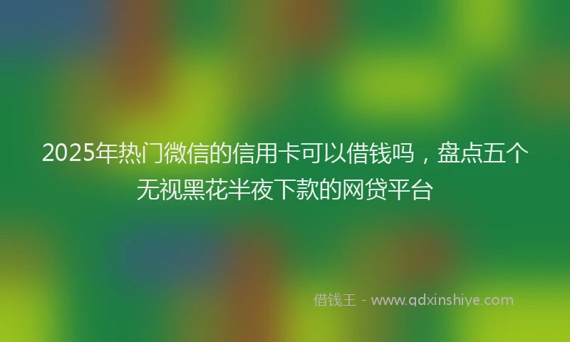 2025年热门微信的信用卡可以借钱吗，盘点五个无视黑花半夜下款的网贷平台