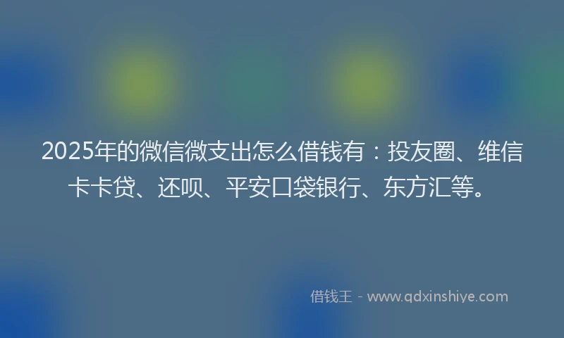 2025年的微信微支出怎么借钱有：投友圈、维信卡卡贷、还呗、平安口袋银行、东方汇等。