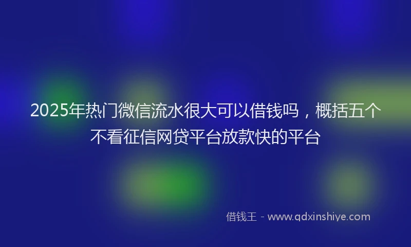 2025年热门微信流水很大可以借钱吗，概括五个不看征信网贷平台放款快的平台