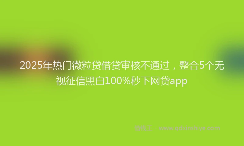 2025年热门微粒贷借贷审核不通过，整合5个无视征信黑白100%秒下网贷app