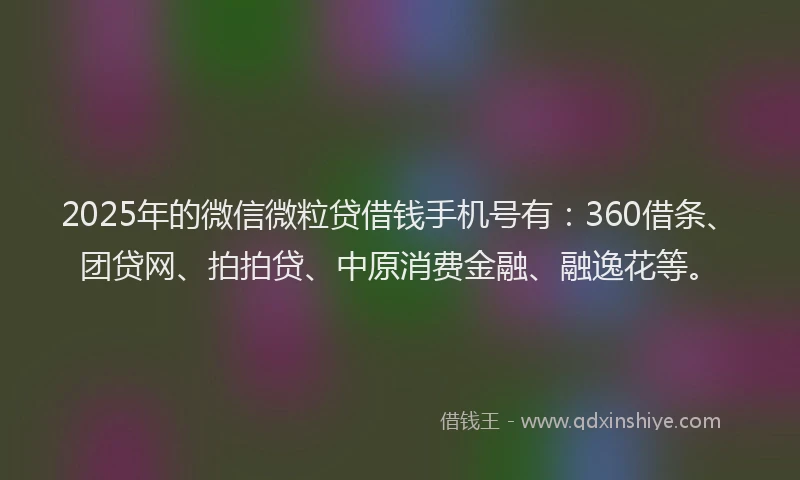 2025年的微信微粒贷借钱手机号有：360借条、团贷网、拍拍贷、中原消费金融、融逸花等。