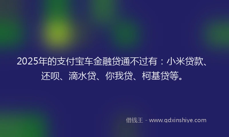 2025年的支付宝车金融贷通不过有：小米贷款、还呗、滴水贷、你我贷、柯基贷等。