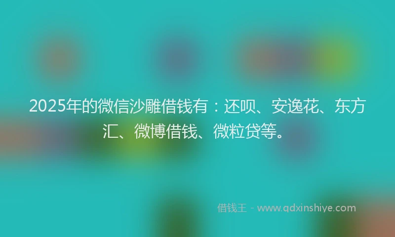 2025年的微信沙雕借钱有：还呗、安逸花、东方汇、微博借钱、微粒贷等。