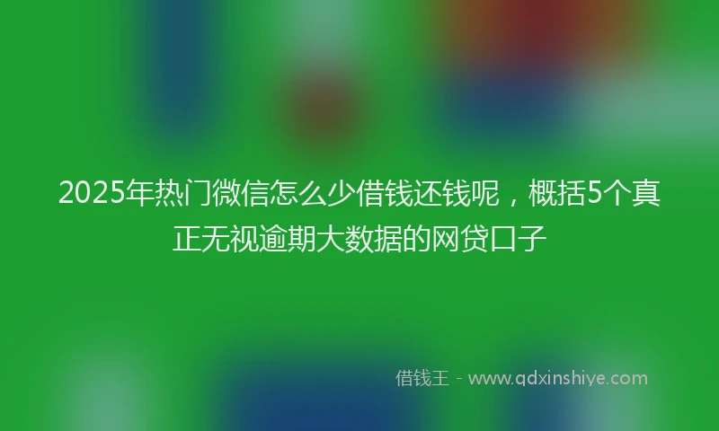 2025年热门微信怎么少借钱还钱呢，概括5个真正无视逾期大数据的网贷口子