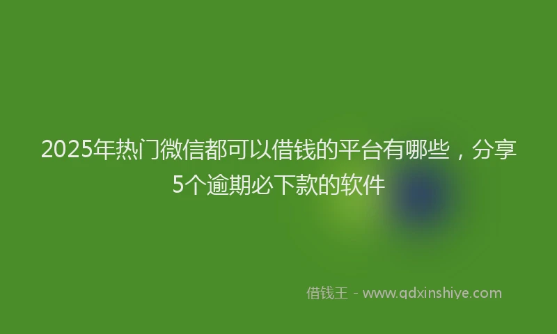 2025年热门微信都可以借钱的平台有哪些，分享5个逾期必下款的软件