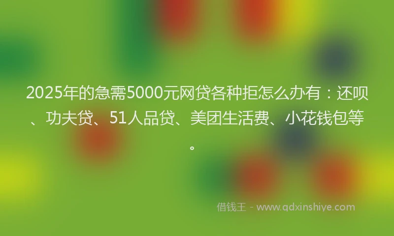 2025年的急需5000元网贷各种拒怎么办有：还呗、功夫贷、51人品贷、美团生活费、小花钱包等。