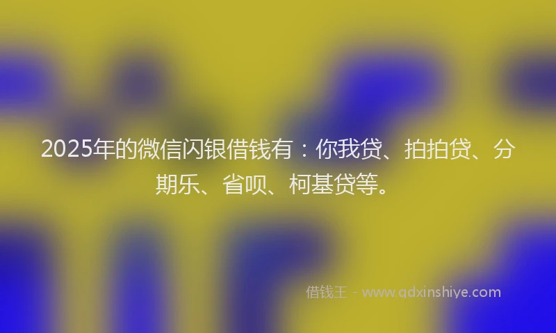 2025年的微信闪银借钱有：你我贷、拍拍贷、分期乐、省呗、柯基贷等。