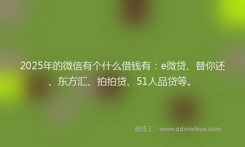 2025年的微信有个什么借钱有：e微贷、替你还、东方汇、拍拍贷、51人品贷等。