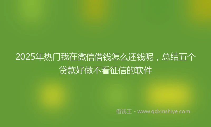 2025年热门我在微信借钱怎么还钱呢，总结五个贷款好做不看征信的软件