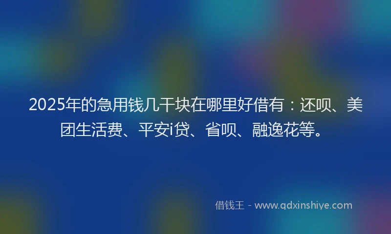 2025年的急用钱几干块在哪里好借有：还呗、美团生活费、平安i贷、省呗、融逸花等。