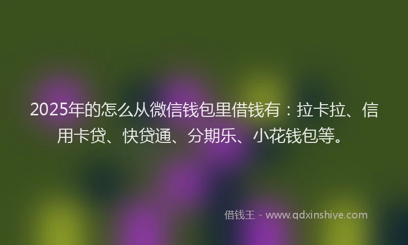 2025年的怎么从微信钱包里借钱有：拉卡拉、信用卡贷、快贷通、分期乐、小花钱包等。
