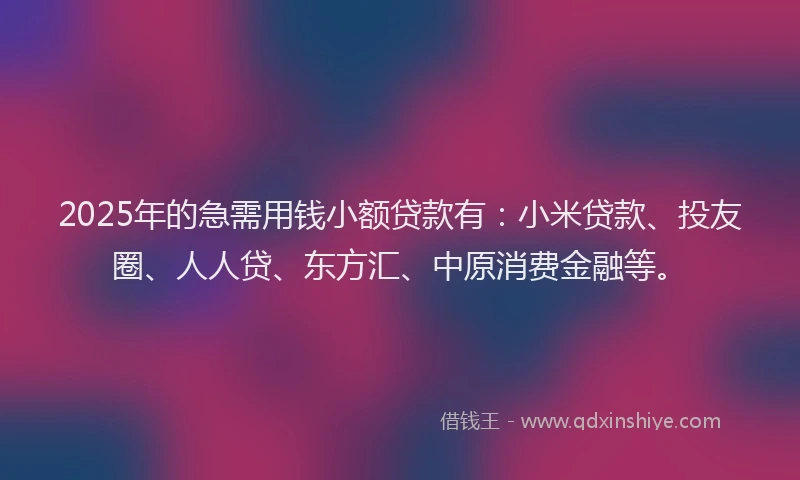 2025年的急需用钱小额贷款有：小米贷款、投友圈、人人贷、东方汇、中原消费金融等。