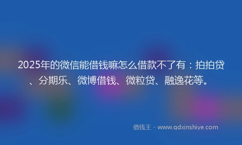 2025年的微信能借钱嘛怎么借款不了有：拍拍贷、分期乐、微博借钱、微粒贷、融逸花等。