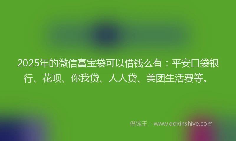 2025年的微信富宝袋可以借钱么有：平安口袋银行、花呗、你我贷、人人贷、美团生活费等。