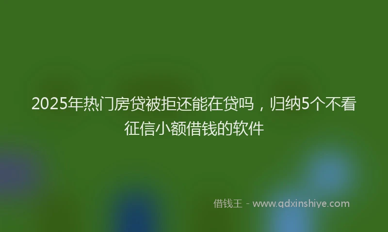 2025年热门房贷被拒还能在贷吗，归纳5个不看征信小额借钱的软件