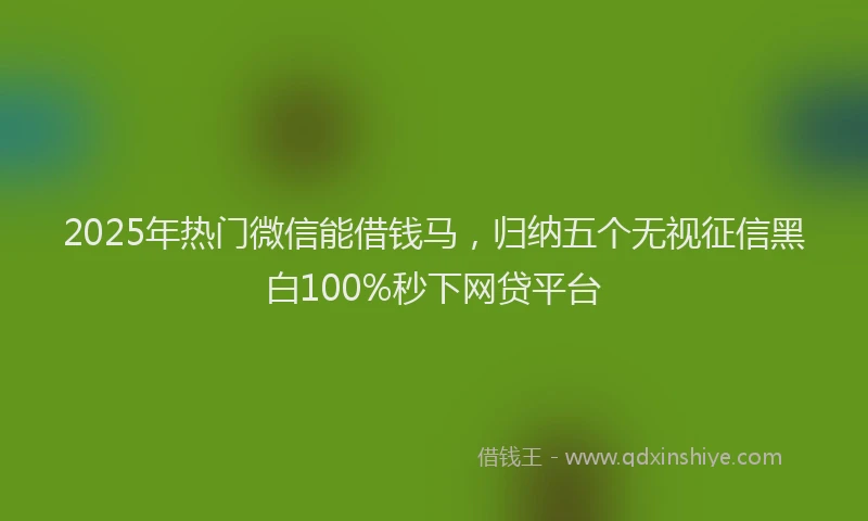 2025年热门微信能借钱马，归纳五个无视征信黑白100%秒下网贷平台