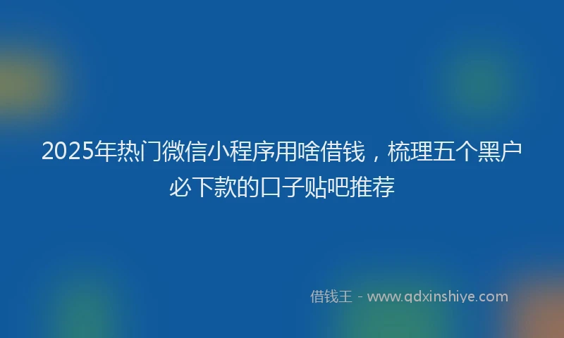 2025年热门微信小程序用啥借钱，梳理五个黑户必下款的口子贴吧推荐