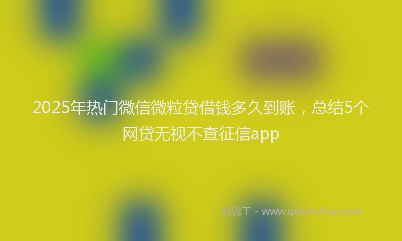2025年热门微信微粒贷借钱多久到账，总结5个网贷无视不查征信app