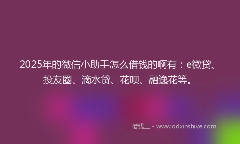 2025年的微信小助手怎么借钱的啊有：e微贷、投友圈、滴水贷、花呗、融逸花等。