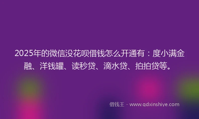 2025年的微信没花呗借钱怎么开通有：度小满金融、洋钱罐、读秒贷、滴水贷、拍拍贷等。