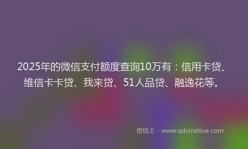 2025年的微信支付额度查询10万有：信用卡贷、维信卡卡贷、我来贷、51人品贷、融逸花等。
