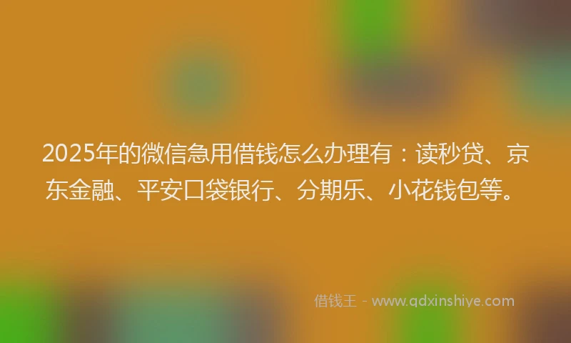 2025年的微信急用借钱怎么办理有：读秒贷、京东金融、平安口袋银行、分期乐、小花钱包等。