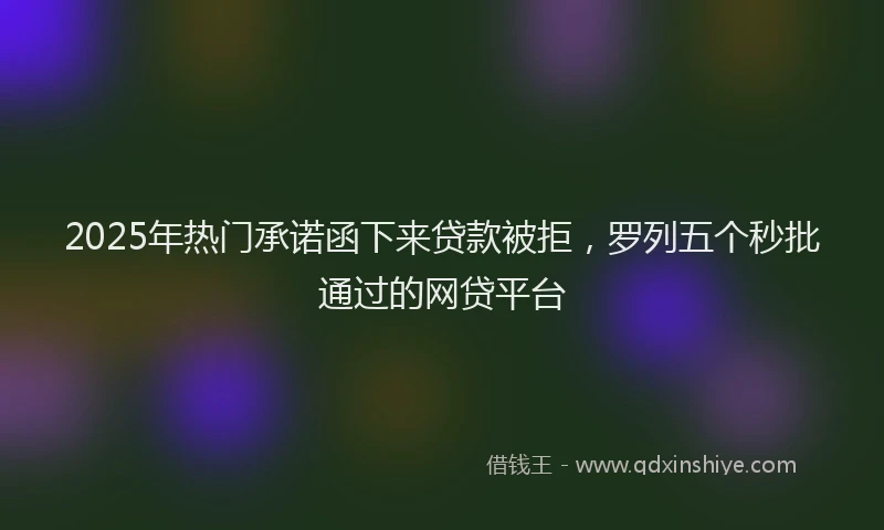 2025年热门承诺函下来贷款被拒，罗列五个秒批通过的网贷平台