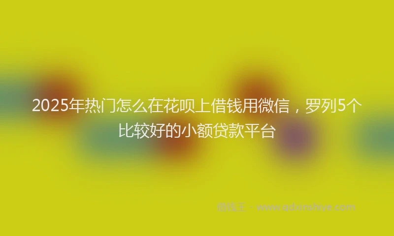 2025年热门怎么在花呗上借钱用微信，罗列5个比较好的小额贷款平台