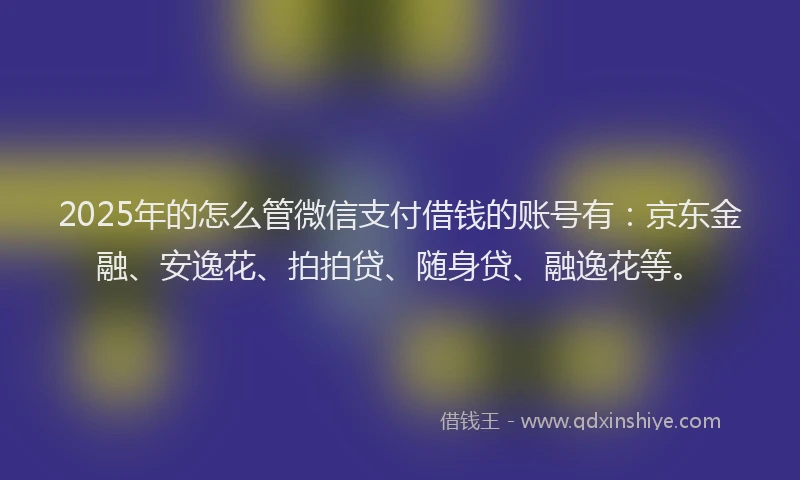2025年的怎么管微信支付借钱的账号有：京东金融、安逸花、拍拍贷、随身贷、融逸花等。