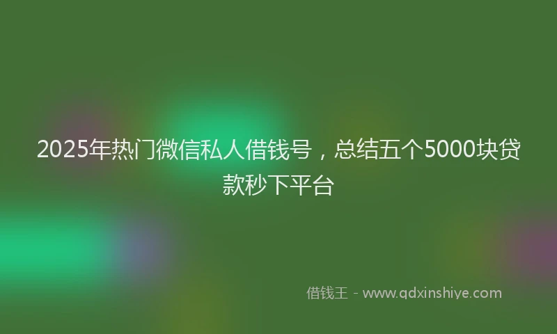 2025年热门微信私人借钱号，总结五个5000块贷款秒下平台