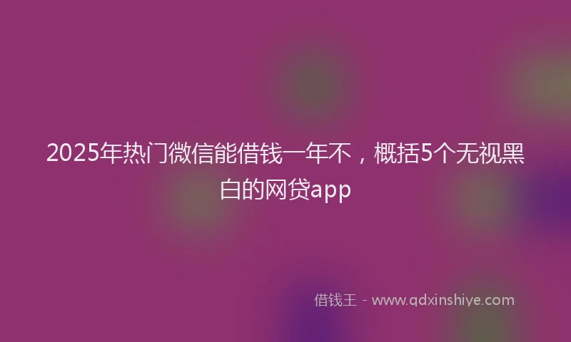 2025年热门微信能借钱一年不，概括5个无视黑白的网贷app