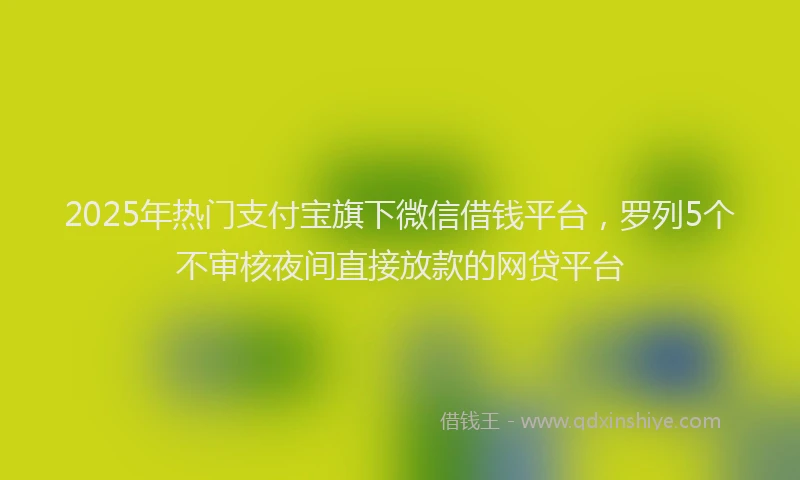 2025年热门支付宝旗下微信借钱平台，罗列5个不审核夜间直接放款的网贷平台