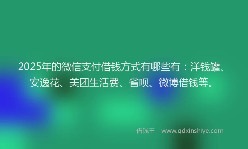 2025年的微信支付借钱方式有哪些有：洋钱罐、安逸花、美团生活费、省呗、微博借钱等。
