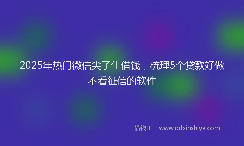 2025年热门微信尖子生借钱，梳理5个贷款好做不看征信的软件
