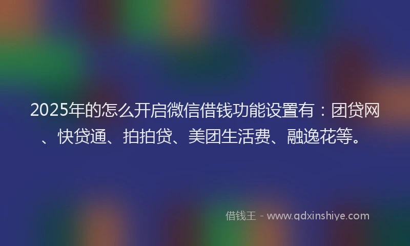 2025年的怎么开启微信借钱功能设置有：团贷网、快贷通、拍拍贷、美团生活费、融逸花等。
