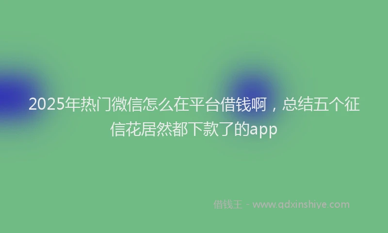 2025年热门微信怎么在平台借钱啊，总结五个征信花居然都下款了的app