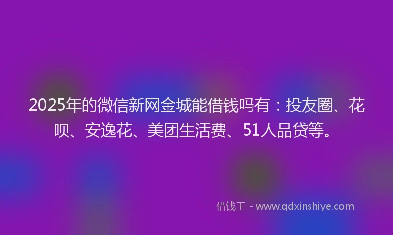 2025年的微信新网金城能借钱吗有：投友圈、花呗、安逸花、美团生活费、51人品贷等。