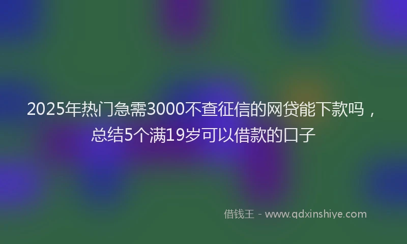 2025年热门急需3000不查征信的网贷能下款吗，总结5个满19岁可以借款的口子