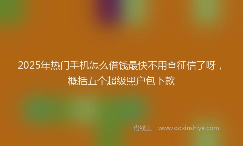 2025年热门手机怎么借钱最快不用查征信了呀，概括五个超级黑户包下款