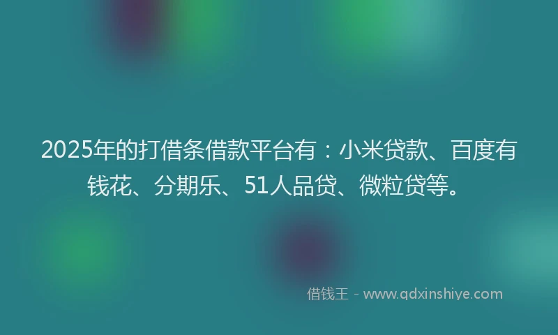 2025年的打借条借款平台有：小米贷款、百度有钱花、分期乐、51人品贷、微粒贷等。