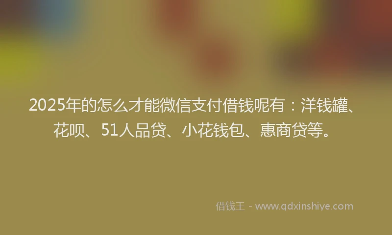 2025年的怎么才能微信支付借钱呢有：洋钱罐、花呗、51人品贷、小花钱包、惠商贷等。