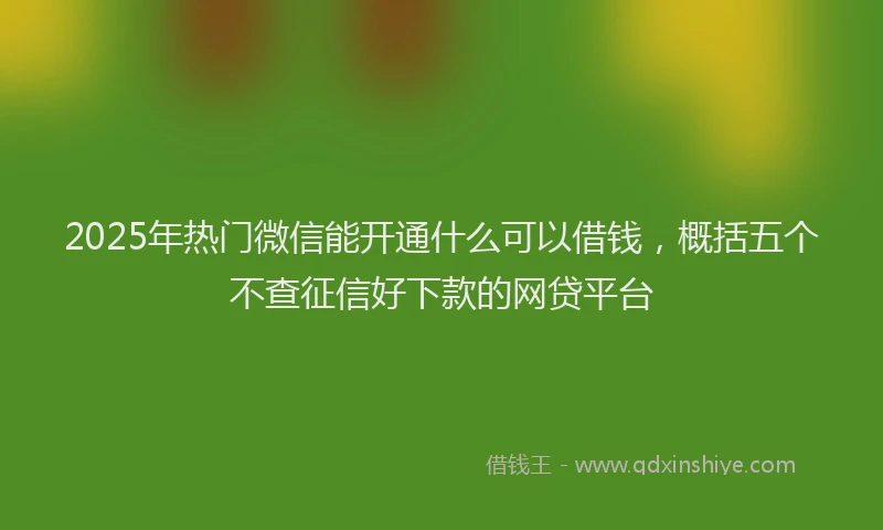 2025年热门微信能开通什么可以借钱，概括五个不查征信好下款的网贷平台