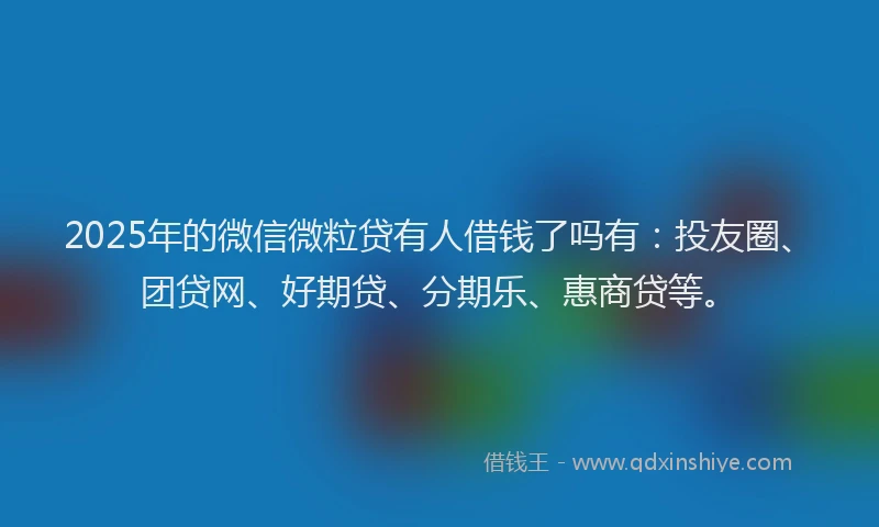 2025年的微信微粒贷有人借钱了吗有：投友圈、团贷网、好期贷、分期乐、惠商贷等。