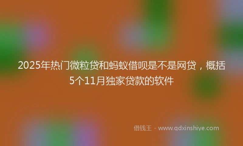 2025年热门微粒贷和蚂蚁借呗是不是网贷，概括5个11月独家贷款的软件