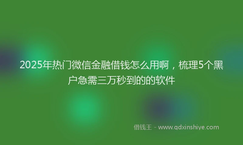 2025年热门微信金融借钱怎么用啊，梳理5个黑户急需三万秒到的的软件