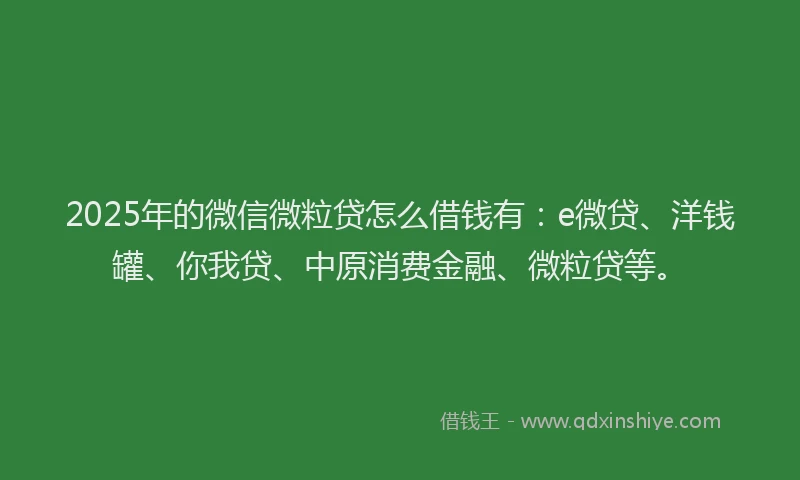 2025年的微信微粒贷怎么借钱有：e微贷、洋钱罐、你我贷、中原消费金融、微粒贷等。